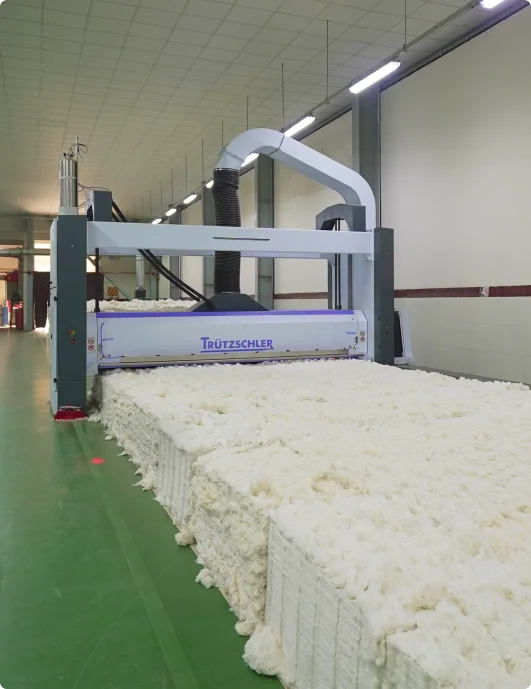 Fariha Spinning Mills Ltd.